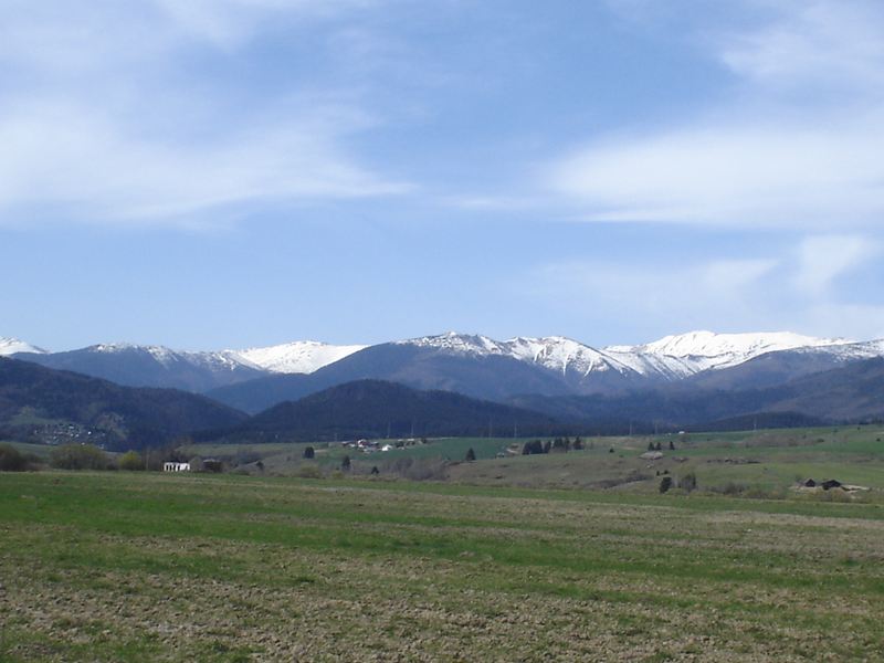 dsc01527.jpg