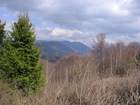 img_4804.jpg
